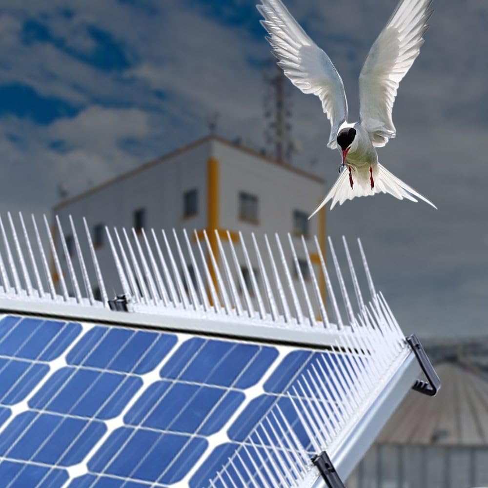 Bird spikes for solar panel